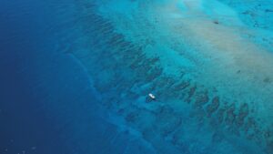 Aerial view of a coral reef.