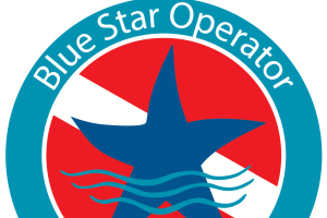 2026 About Blue Star