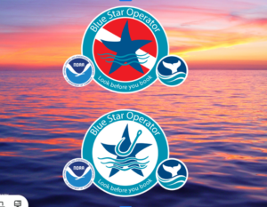 About Blue Star 2026